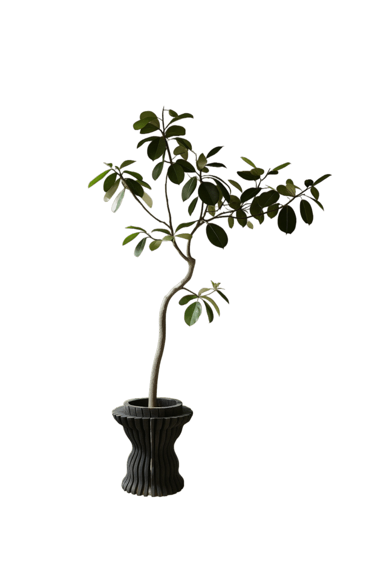 Pot_1